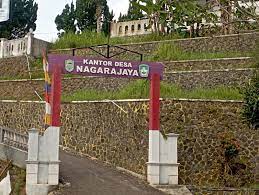 Potensi desa nagarajaya